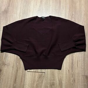 Express Batwing Deep Purple Structured Knit Top Size XL